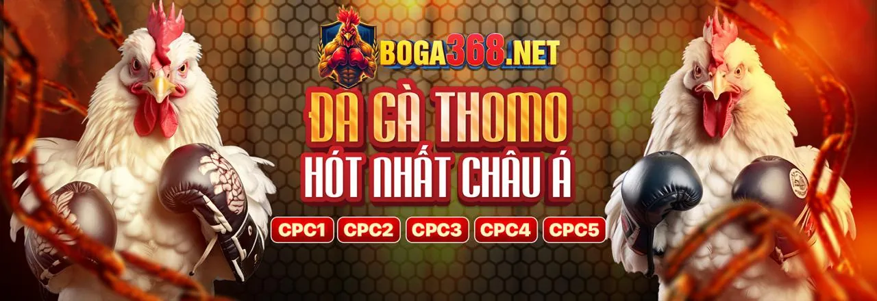 Đá Gà Trực Tiếp Sôi Động tại viva88